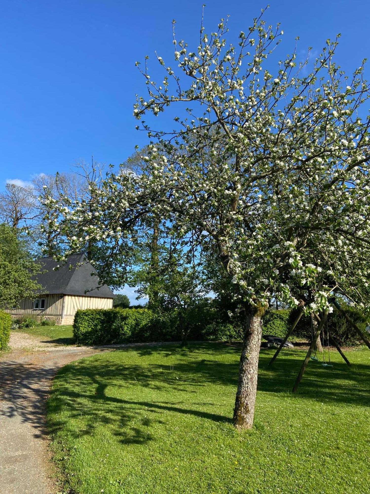 Normands De Charme Les Chataigniers * Bretteville-du-Grand Caux